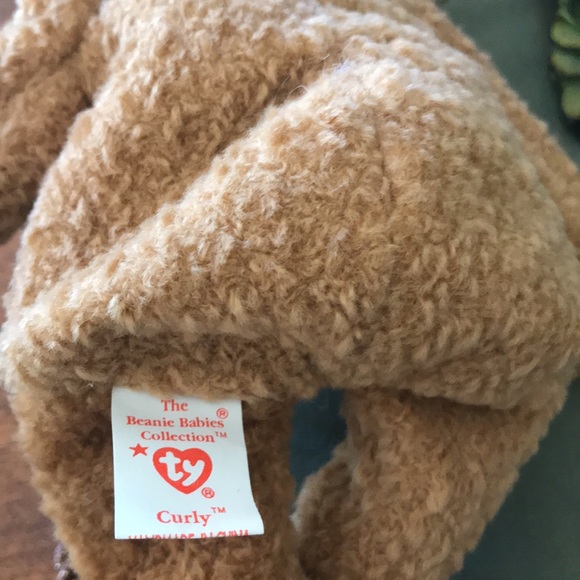 Rare TY ‘CURLY' The Bear Beanie Baby 1996 - Picture 4 of 4